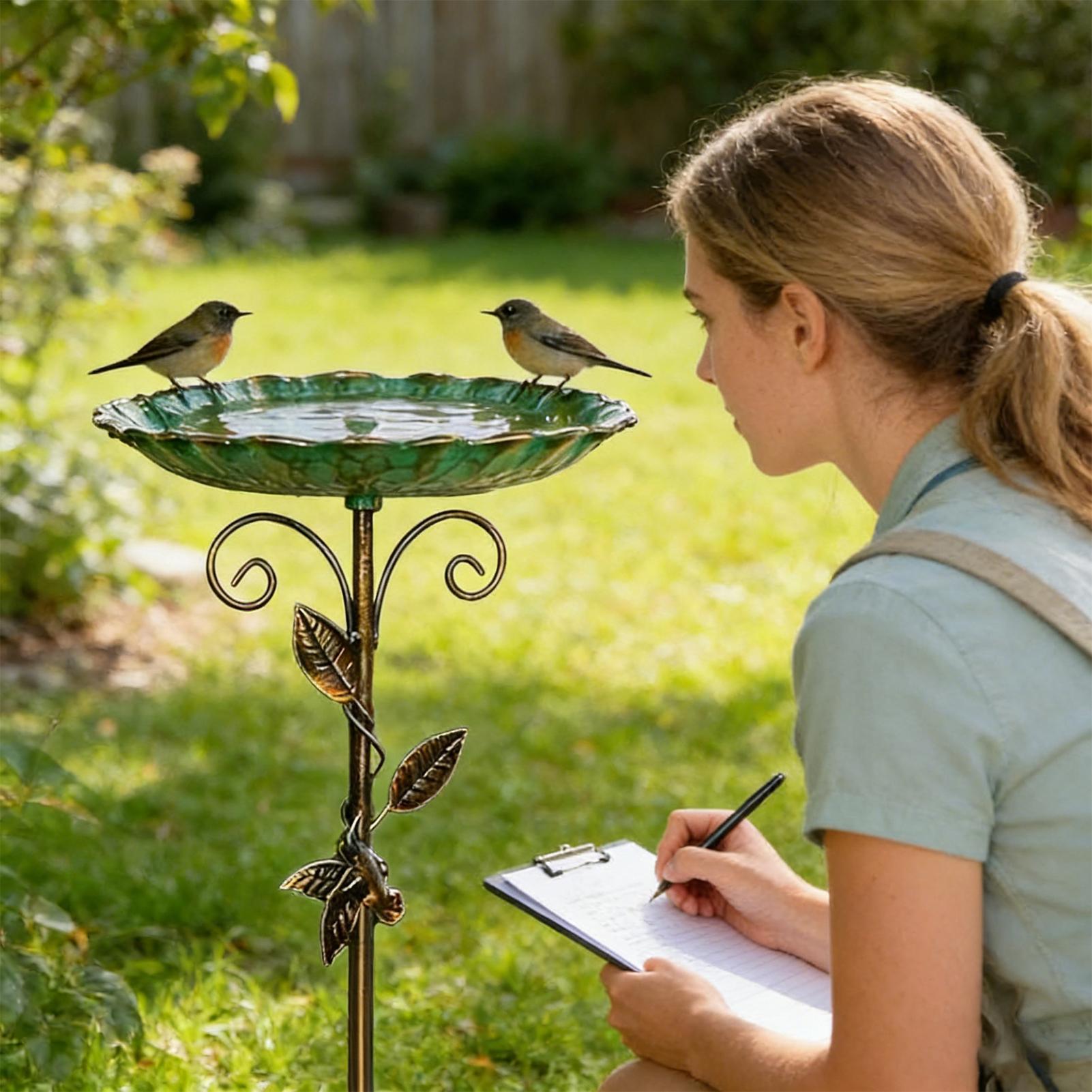 Bird Baths for Outdoors 30 inc - Farming And Agriculture recension och pris